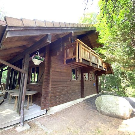 Villa Le Renard La Bresse Exterior foto